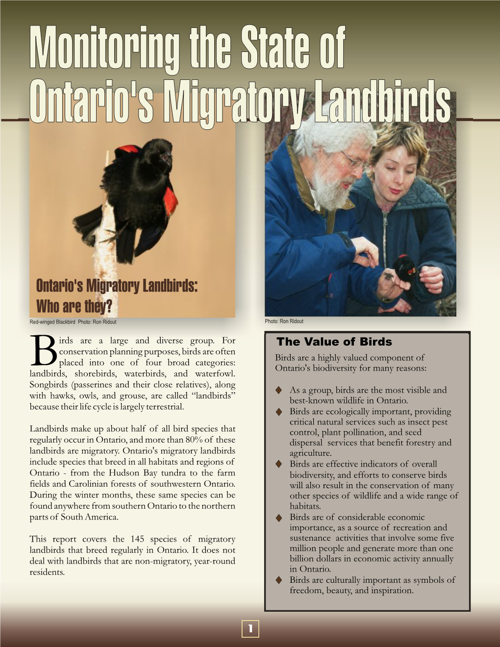 Ontario's Migratory Landbirds: Who Are They? Red-Winged Blackbird Photo: Ron Ridout Photo: Ron Ridout