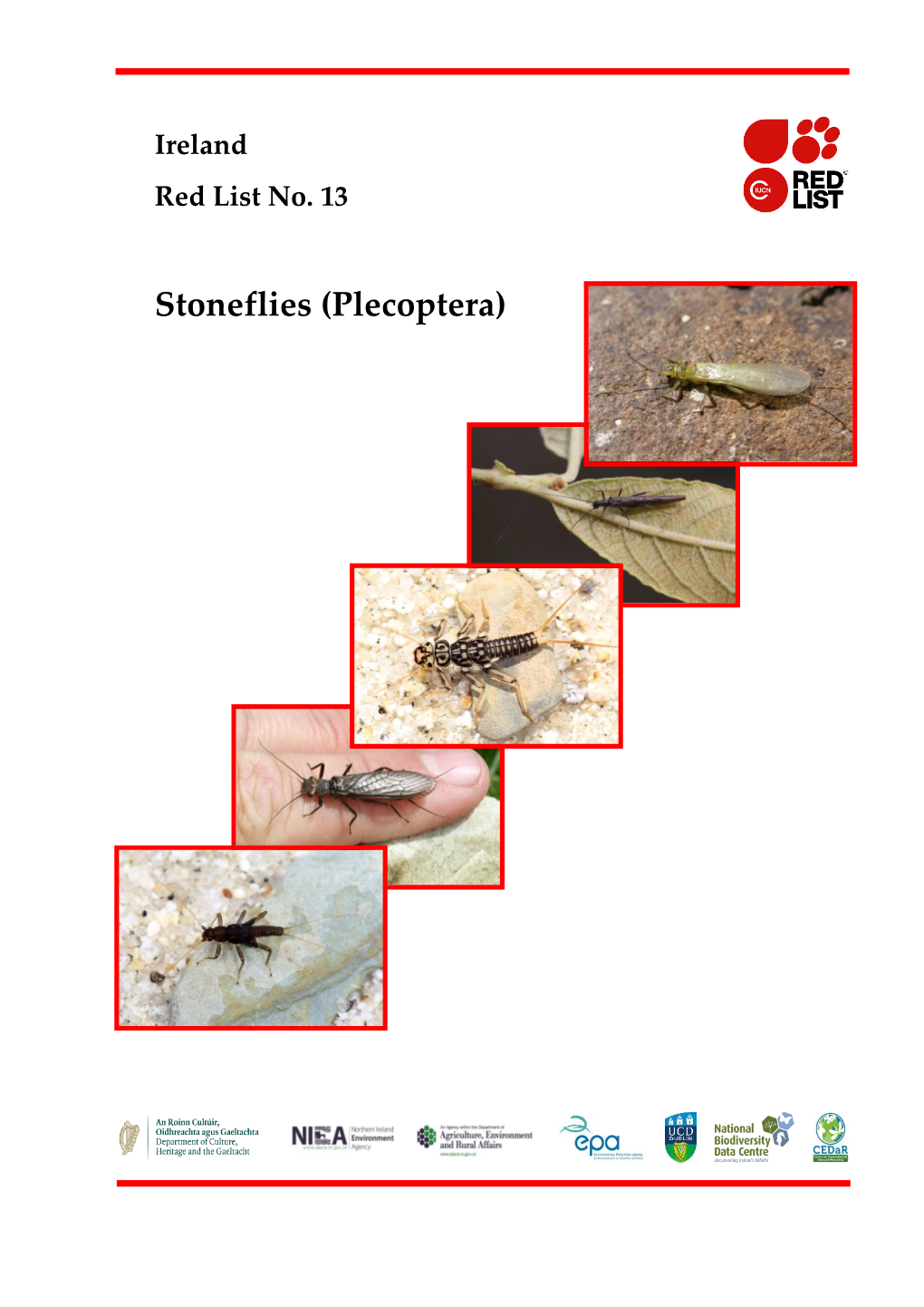 Ireland Red List No. 13 Stoneflies (Plecoptera)