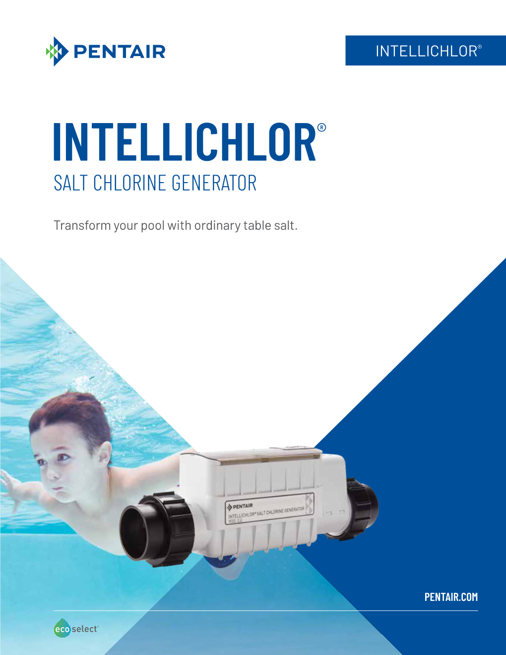 Intellichlor Salt Chlorine Generator Brochure