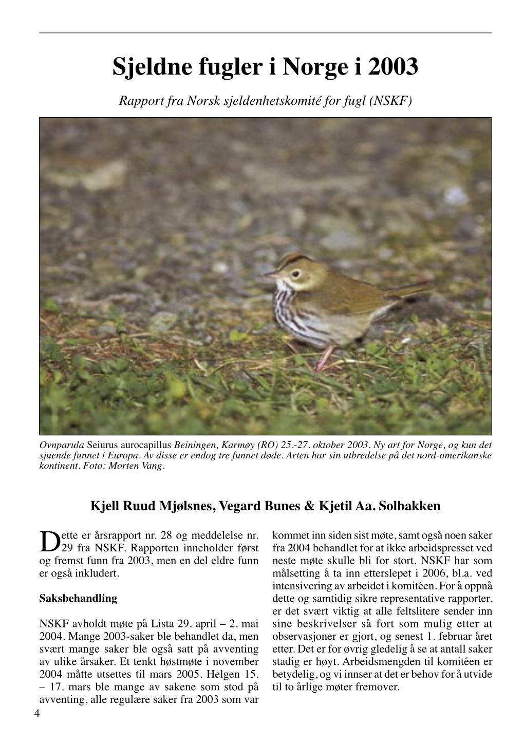 Sjeldne Fugler I Norge I 2003 Rapport Fra Norsk Sjeldenhetskomité for Fugl (NSKF)