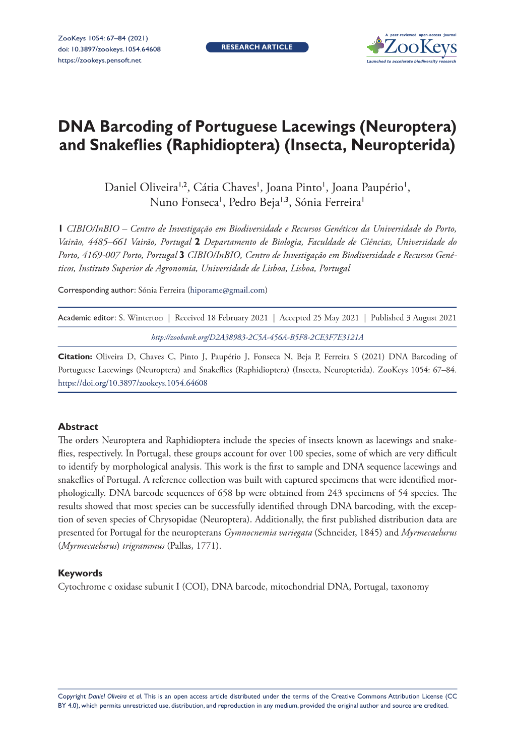 Neuroptera) and Snakeflies (Raphidioptera) (Insecta, Neuropterida