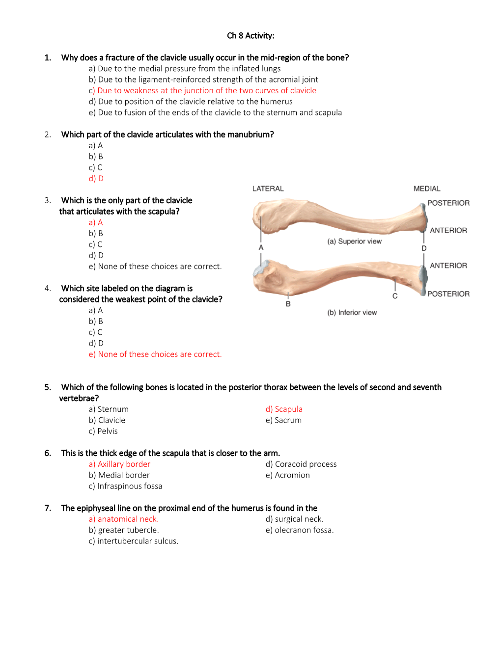 Chapter 8: Appendicular Skeleton