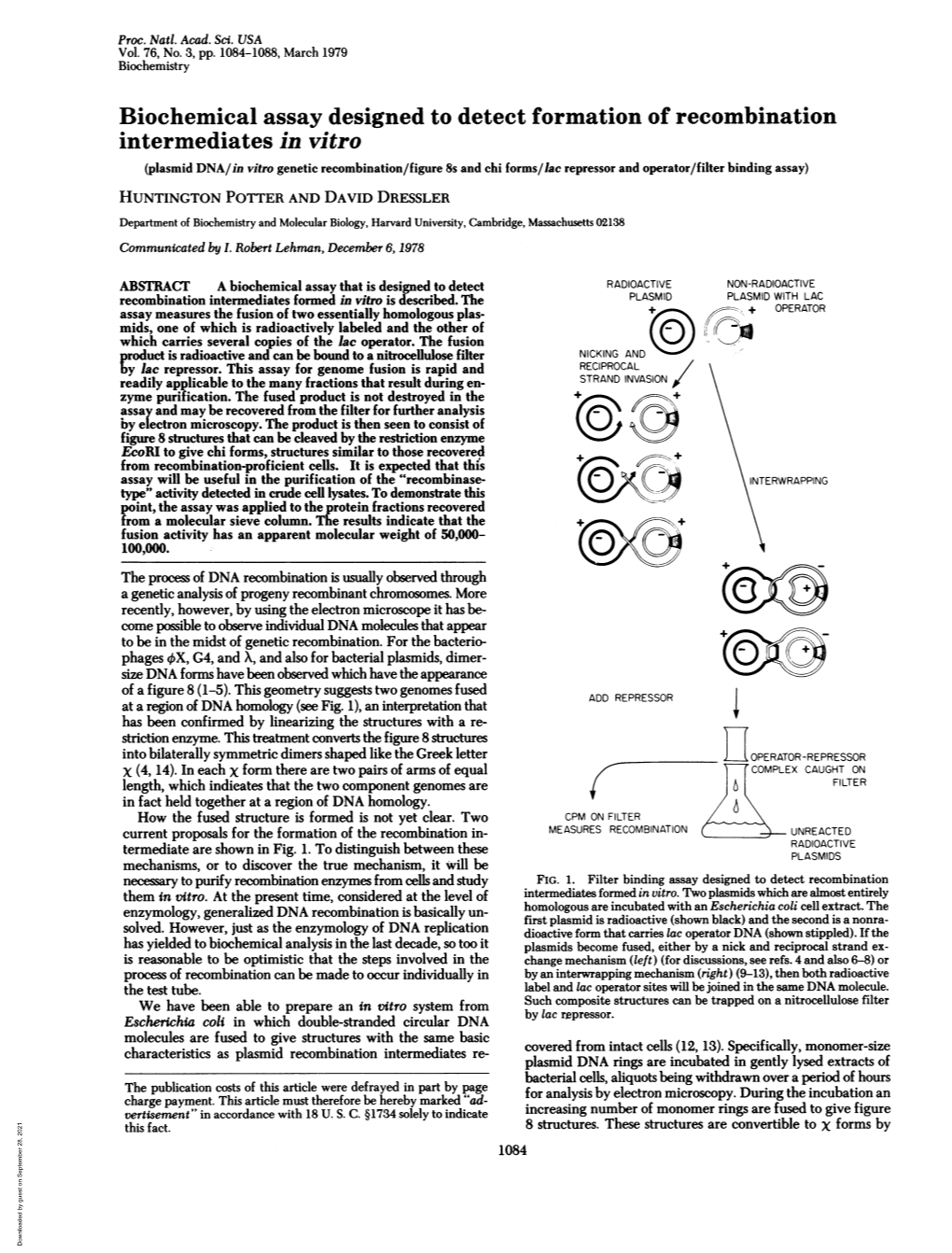 Biochemical Assay Designed to Detect Formation of Recombination Intermediates in Vitro