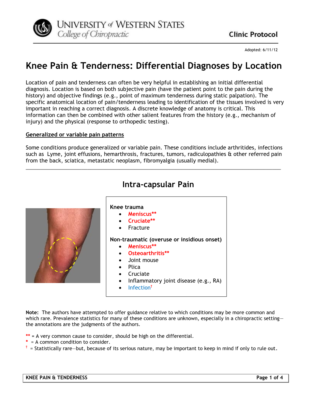 Knee Pain & Tenderness