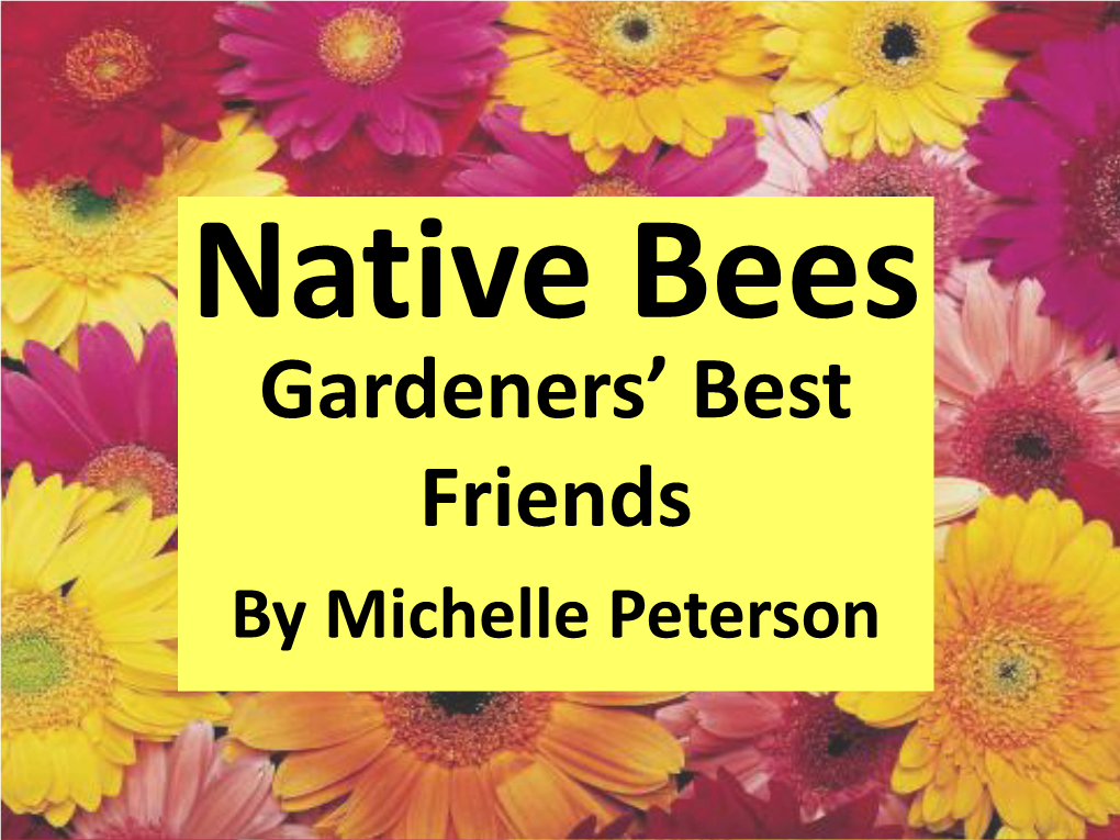 Florida Native Bees? Bumble Bees (Bombus Spp.)