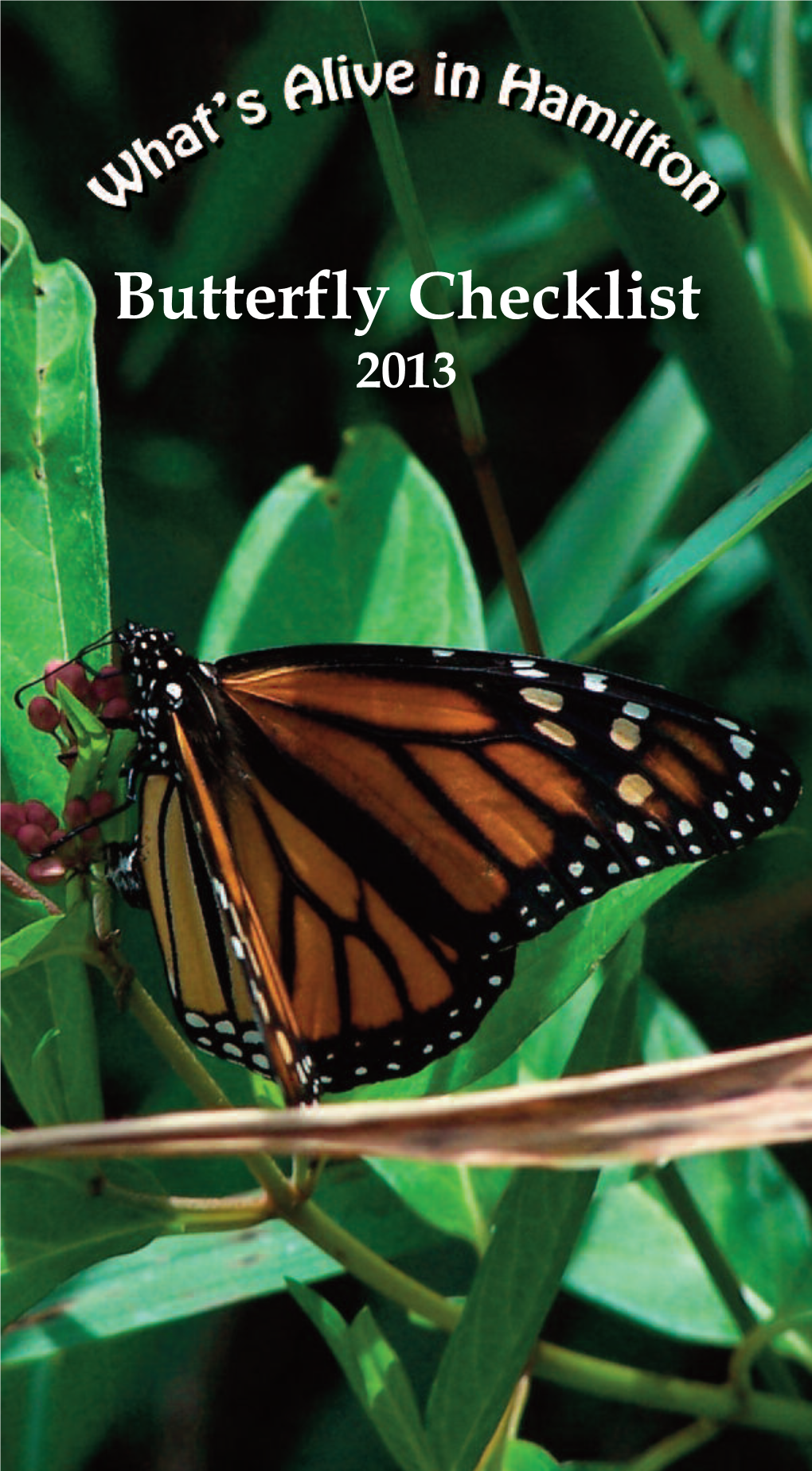 Butterfly Checklist 2013 Date Or Location of Observation ABCD