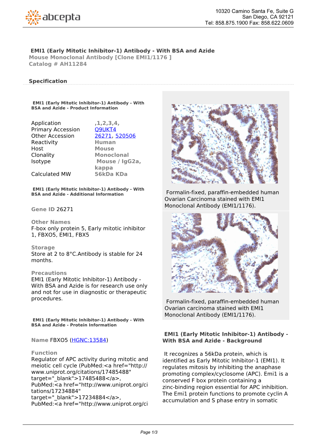 EMI1 (Early Mitotic Inhibitor-1) Antibody - with BSA and Azide Mouse Monoclonal Antibody [Clone EMI1/1176 ] Catalog # AH11284