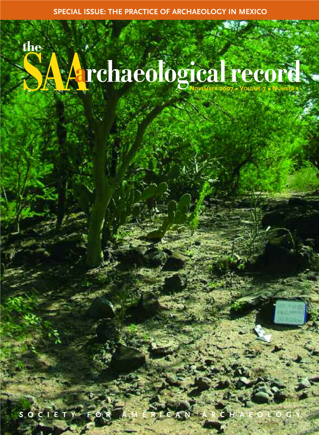 PDF Format at I Would Like to Invite Everyone to Consider Submitting Articles to the SAA Archaeologi- Cal Record