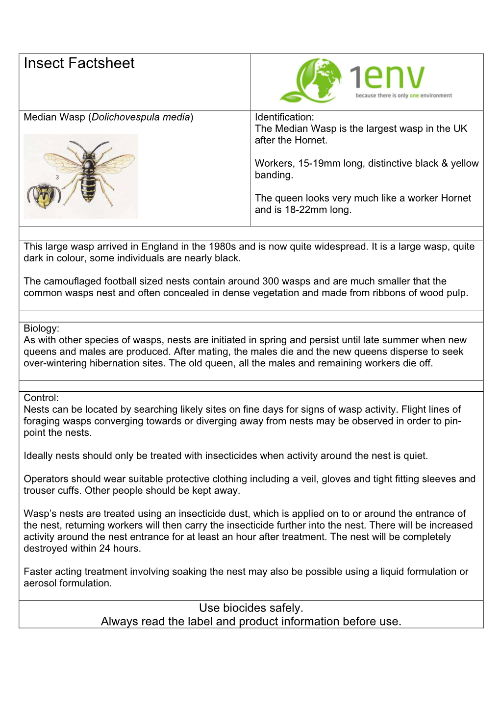 Median (Euro) Wasp