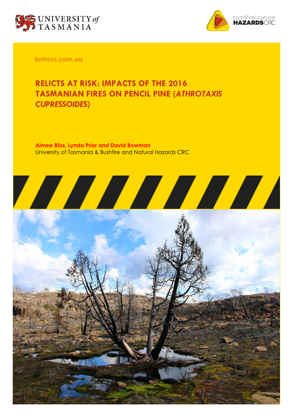 Impacts of the 2016 Tasmanian Fires on Pencil Pine (Athrotaxis Cupressoides)