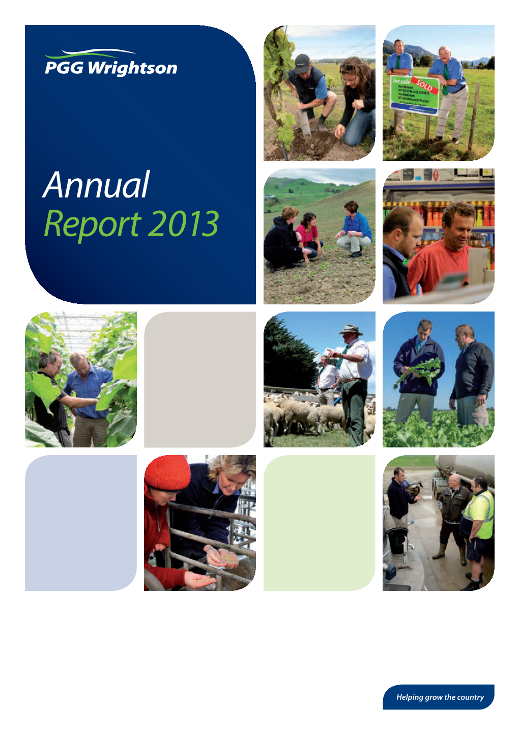 2013 Annual Report