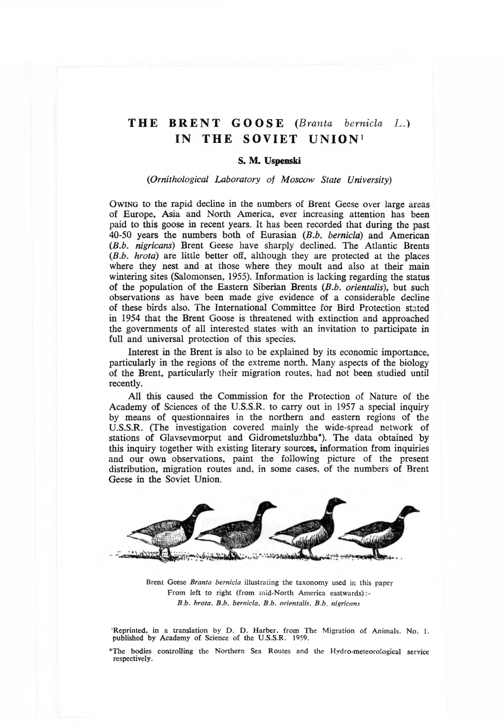 THE BRENT GOOSE (Branta Bernicla L.) in the SOVIET UNION 1