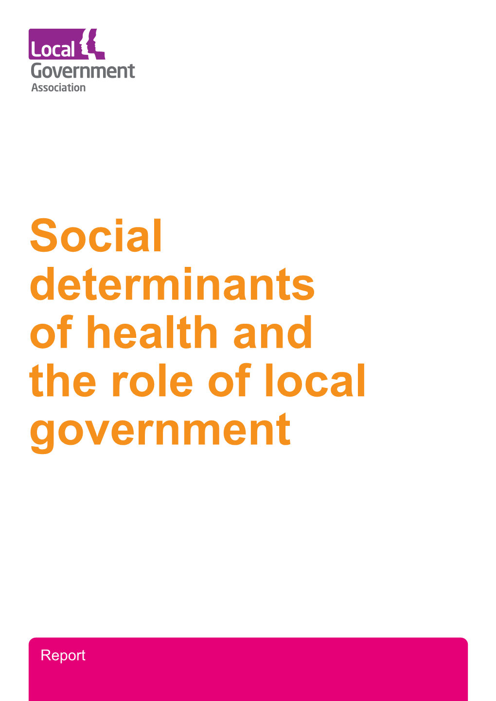 Social Determinants of Health and the Role of Local Government