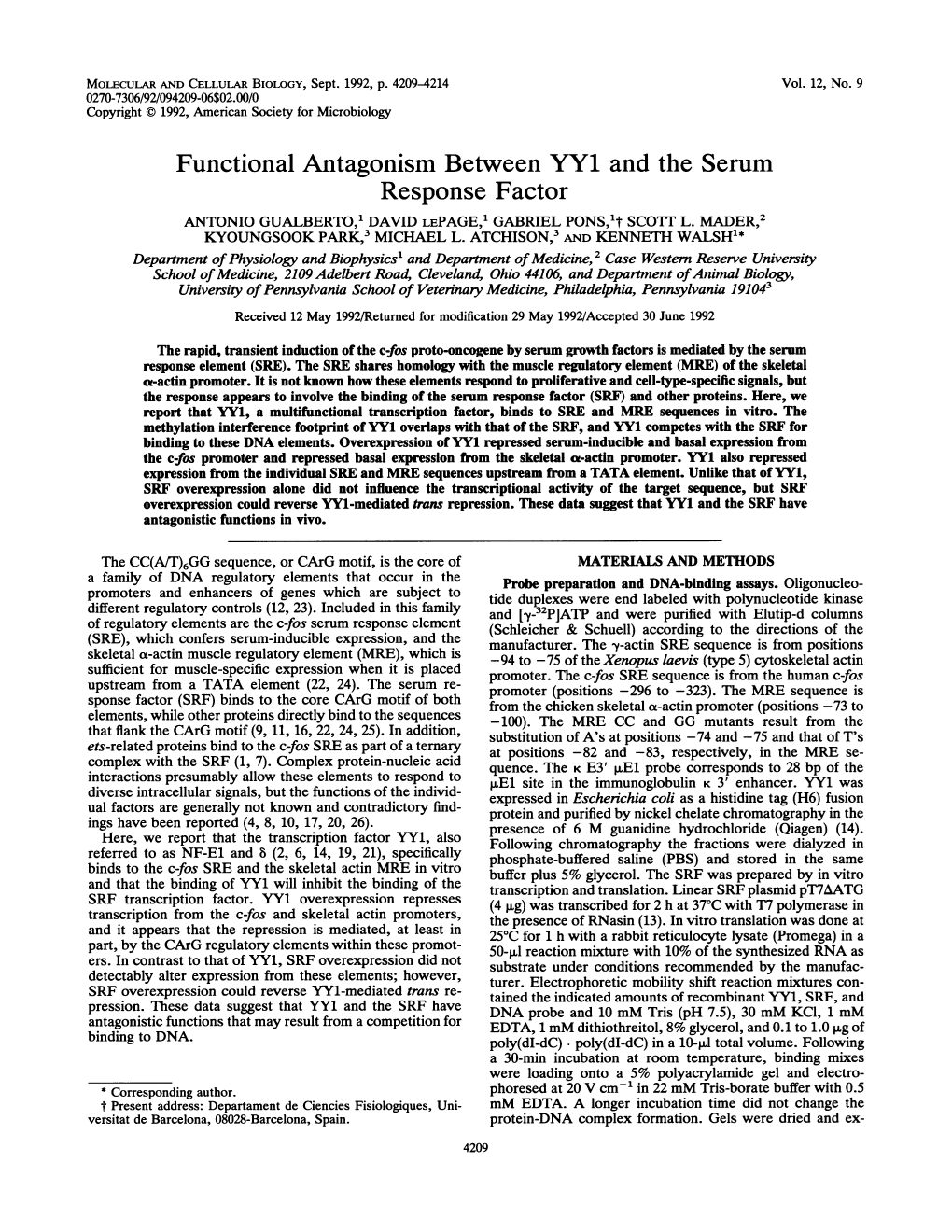 Functional Antagonism Between YY1 and the Serum Response Factor