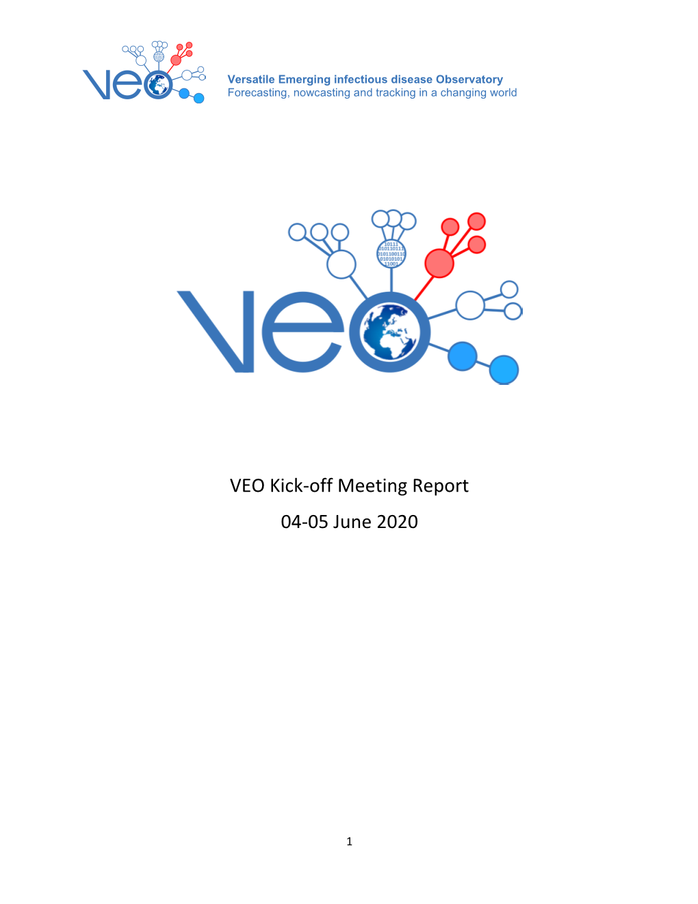 VEO Kick-Off Meeting Report 04-05 June 2020