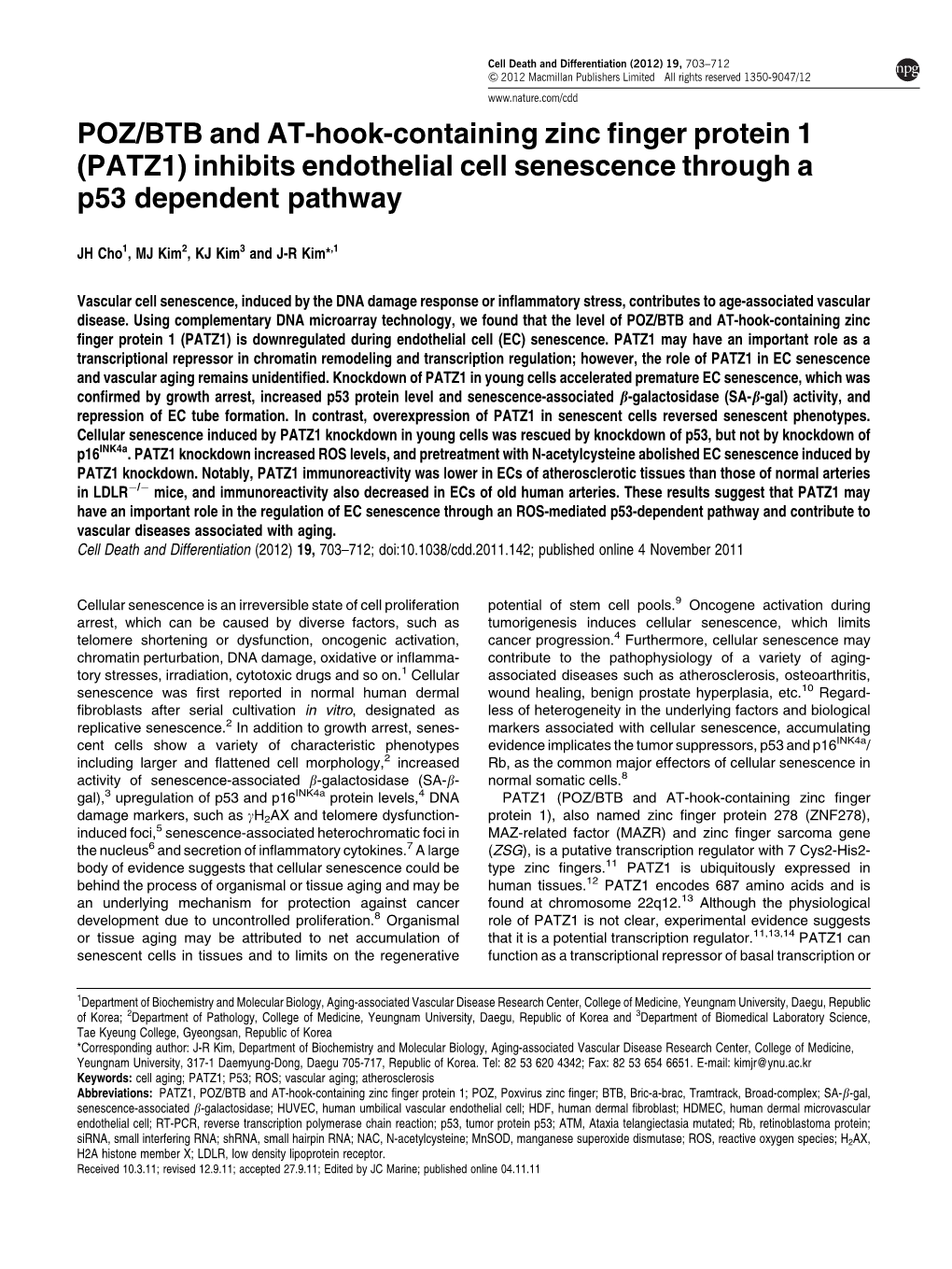 BTB and AT-Hook-Containing Zinc Finger Protein 1 (PATZ1)