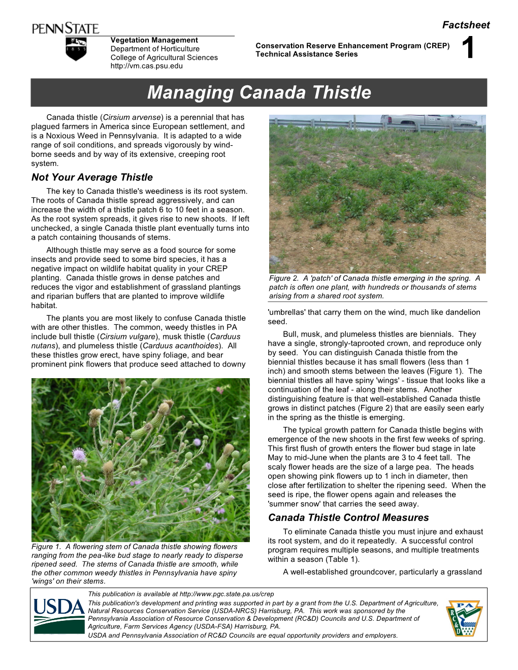 Managing Canada Thistle