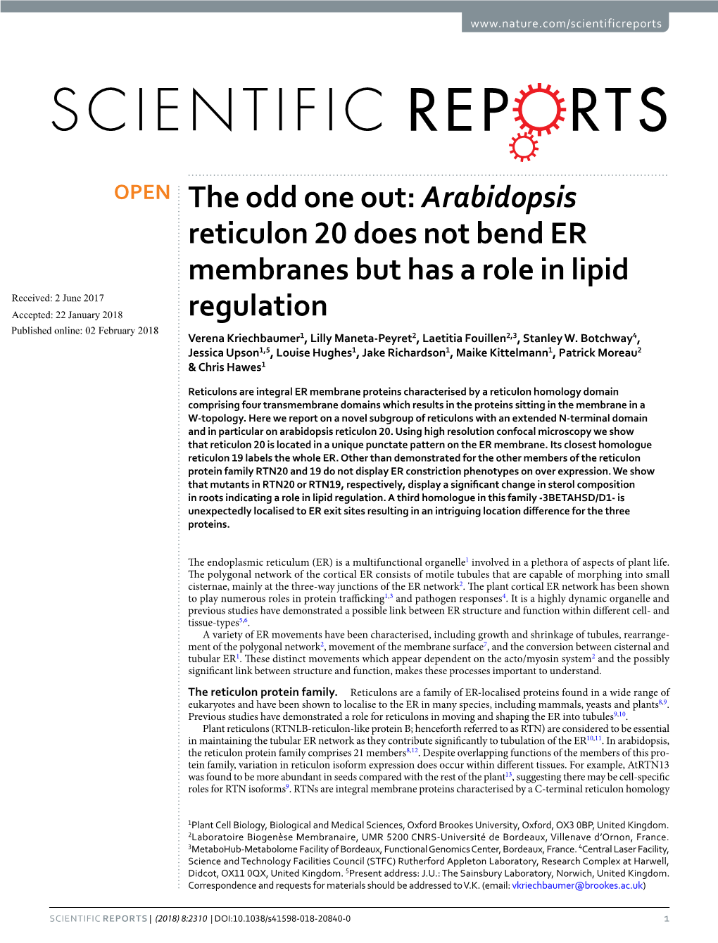 Arabidopsis Reticulon 20 Does Not Bend ER Membranes but Has a Role