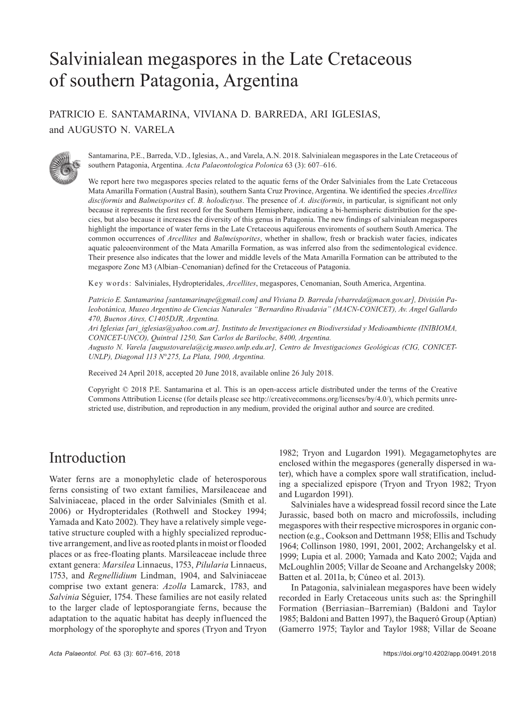 Salvinialean Megaspores in the Late Cretaceous of Southern Patagonia, Argentina