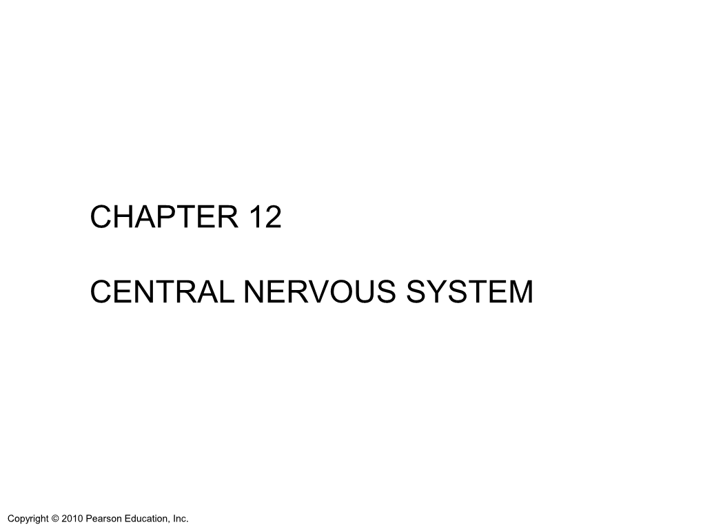 Chapter 12 Central Nervous System