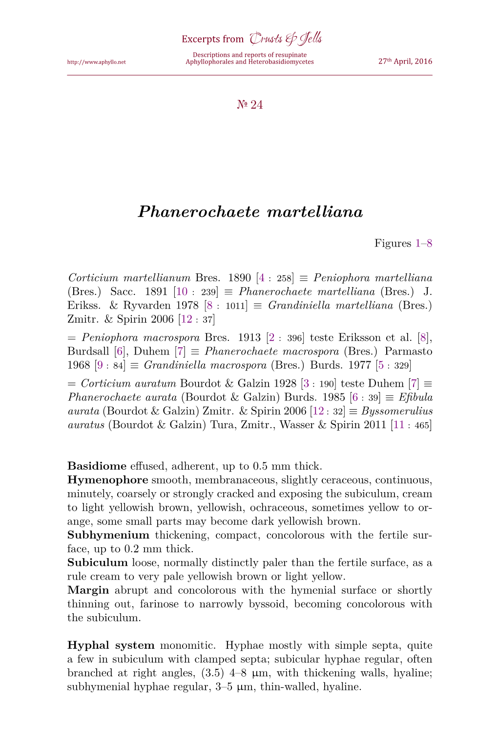 Phanerochaete Martelliana