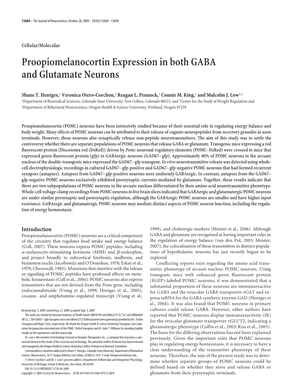 Proopiomelanocortin Expression in Both GABA and Glutamate Neurons