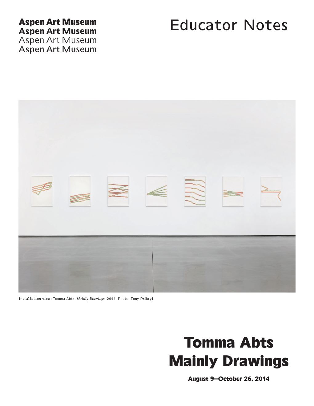 Educator Notes Tomma Abts Mainly Drawings