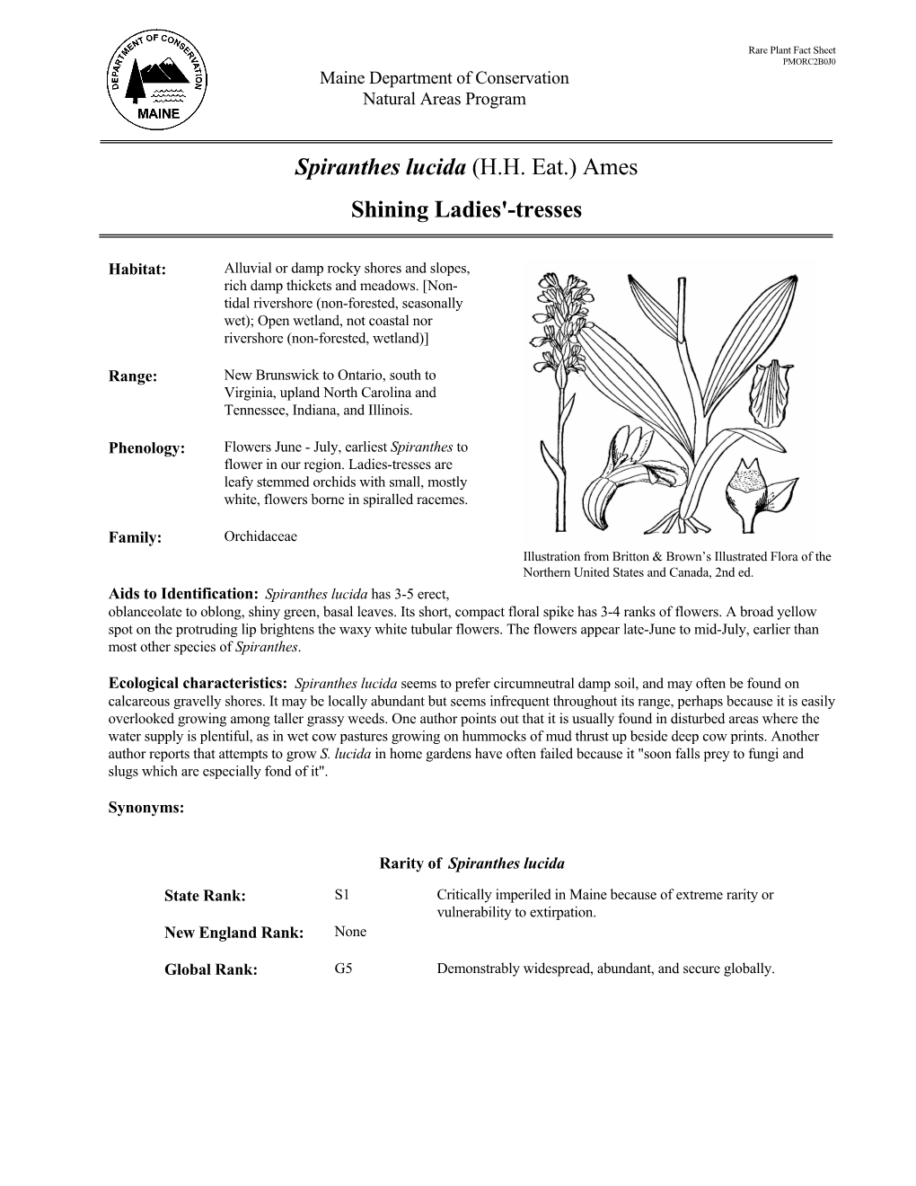 Spiranthes Lucida Rare Plant Fact Sheet