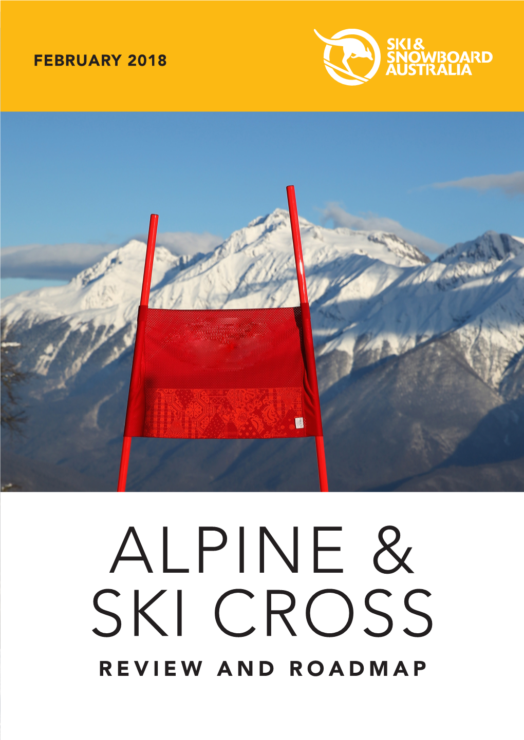 Alpine & Ski Cross Review and Roadmap