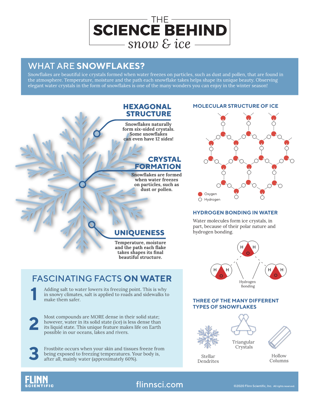 Snowflake Infographic V5