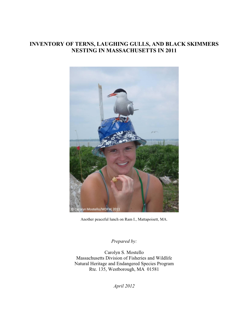Inventory of Terns, Laughing Gulls, and Black Skimmers Nesting in Massachusetts, 2011