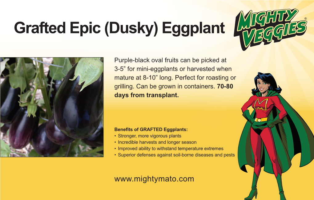 (Dusky) Eggplant