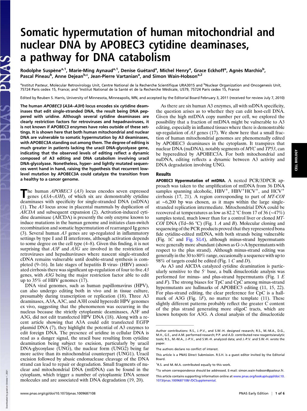 Somatic Hypermutation of Human Mitochondrial and Nuclear DNA by APOBEC3 Cytidine Deaminases, a Pathway for DNA Catabolism