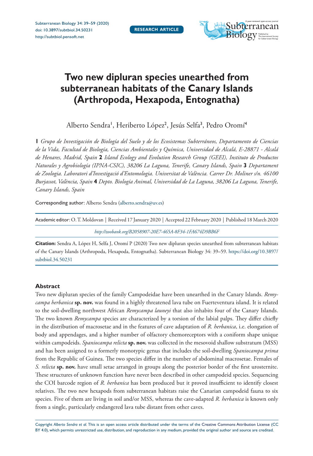 Two New Dipluran Species Unearthed from Subterranean Habitats of the Canary Islands (Arthropoda, Hexapoda, Entognatha)