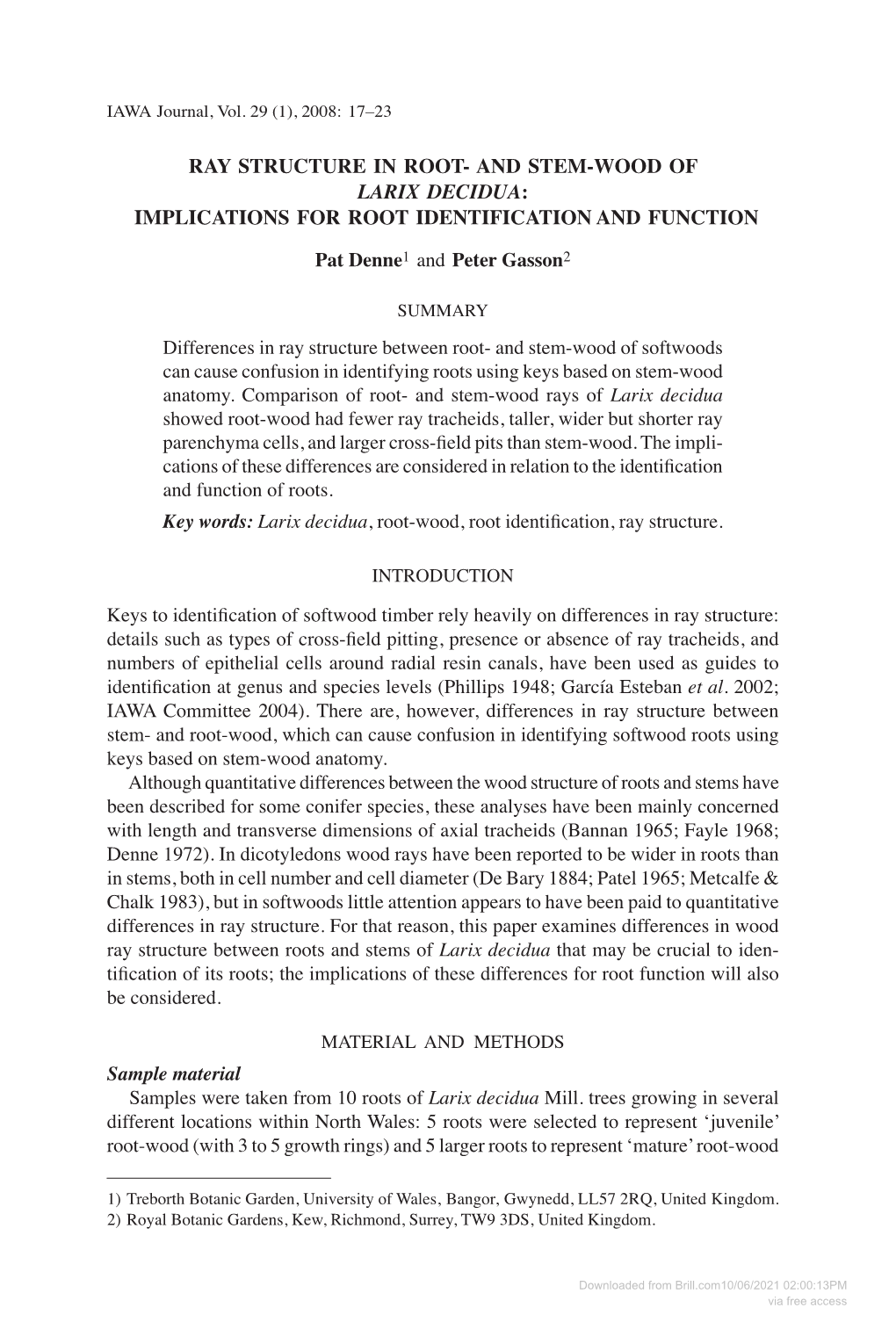 Ray Structure in Root- and Stem-Wood of Larix Decidua: Implications for Root Identification and Function