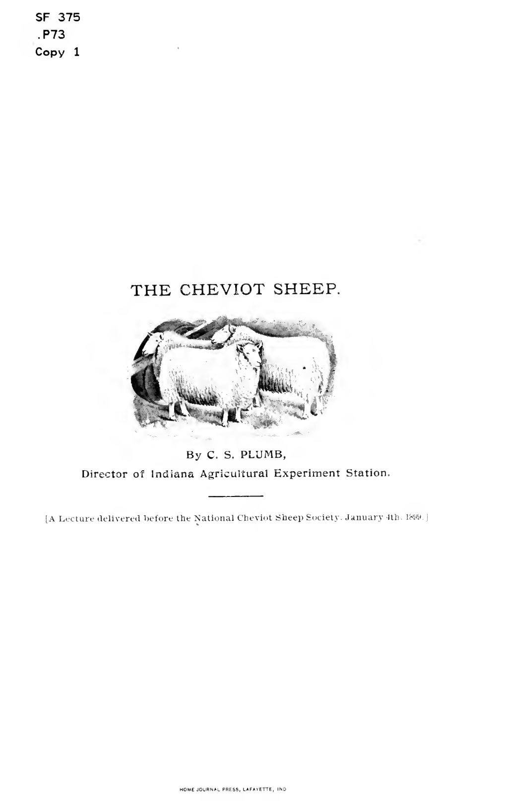 The Cheviot Sheep