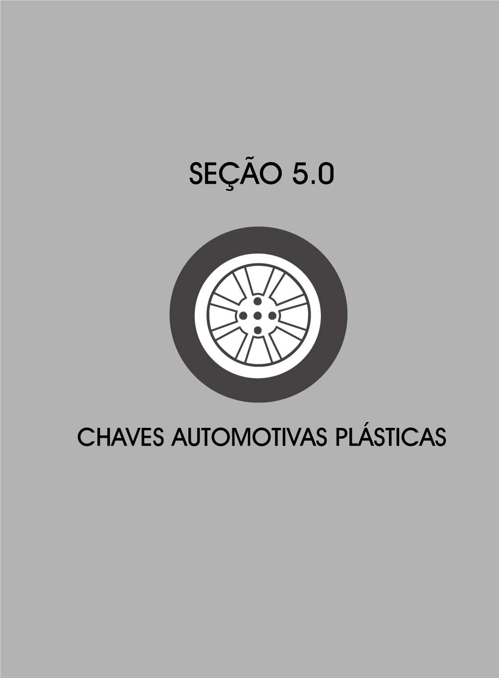 Auto Plasticas Secao 5