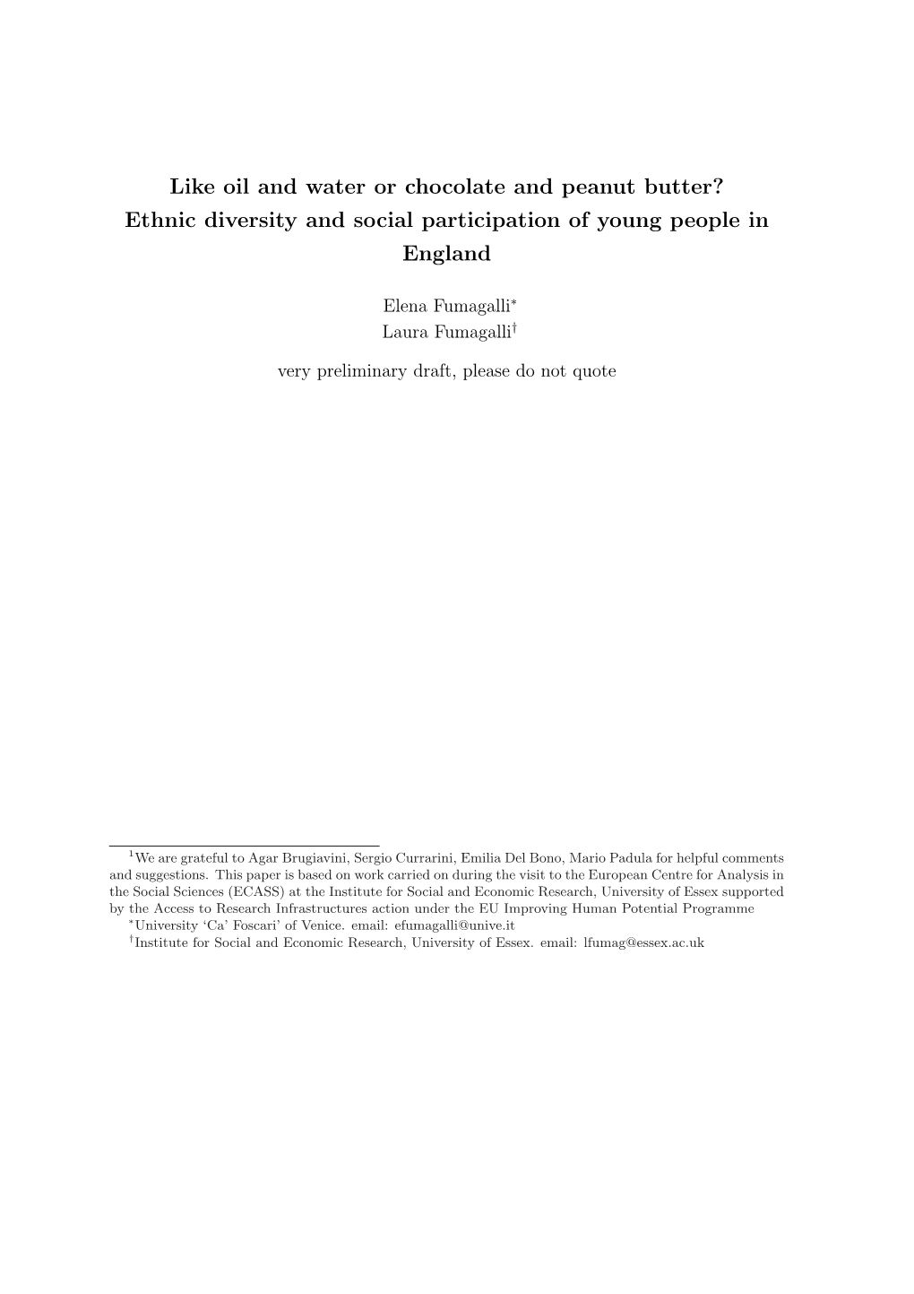 Ethnic Diversity and Social Participation of Young People in England