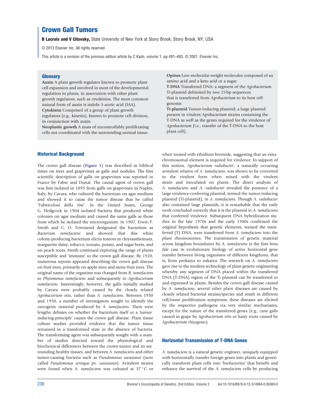 Crown Gall Tumors B Lacroix and V Citovsky, State University of New York at Stony Brook, Stony Brook, NY, USA