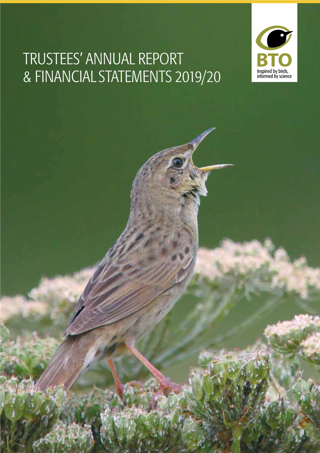 Trustees' Annual Report & Financial Statements 2019/20