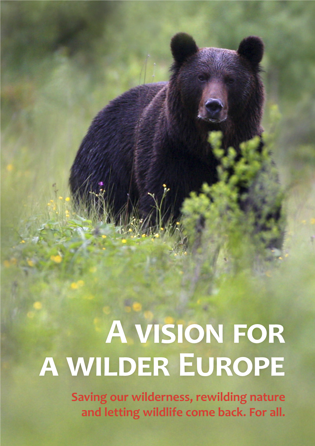 A Vision for a Wilder Europe Saving Our Wilderness, Rewilding Nature and Letting Wildlife Come Back