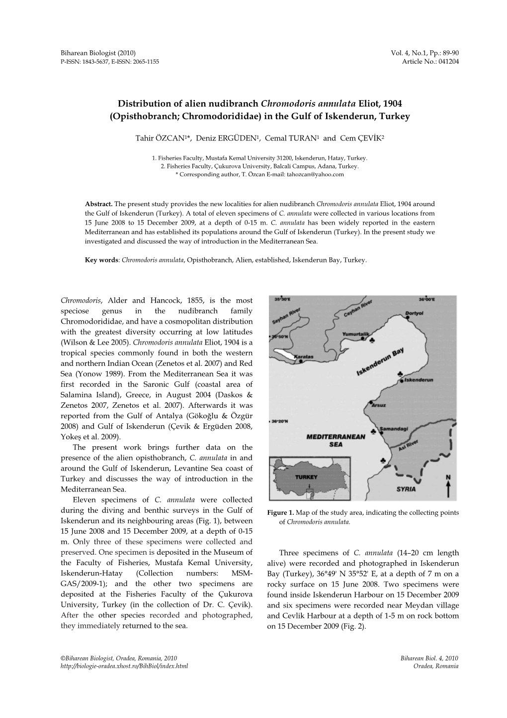 Opisthobranch; Chromodorididae) in the Gulf of Iskenderun, Turkey