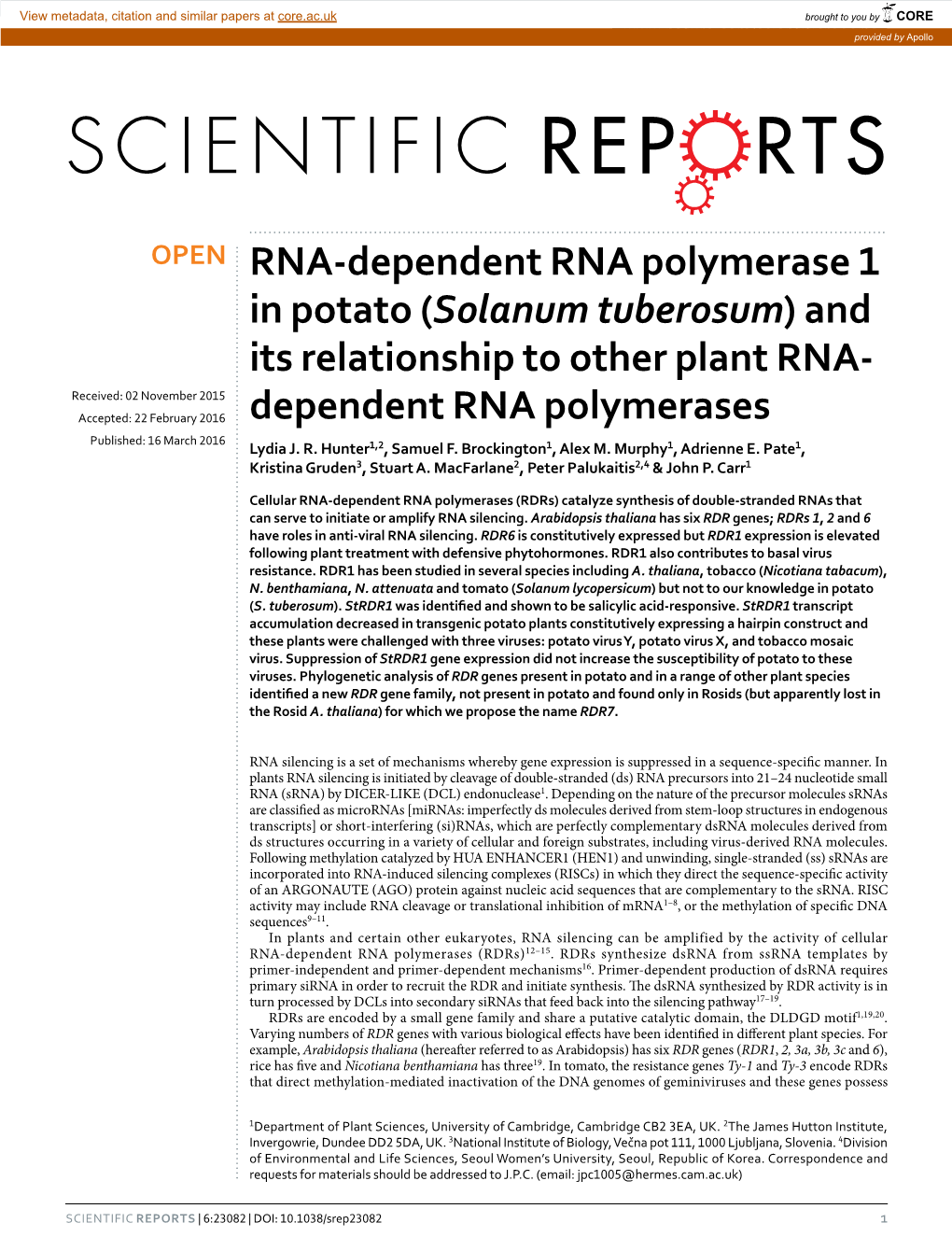 RNA-Dependent RNA Polymerase 1 in Potato