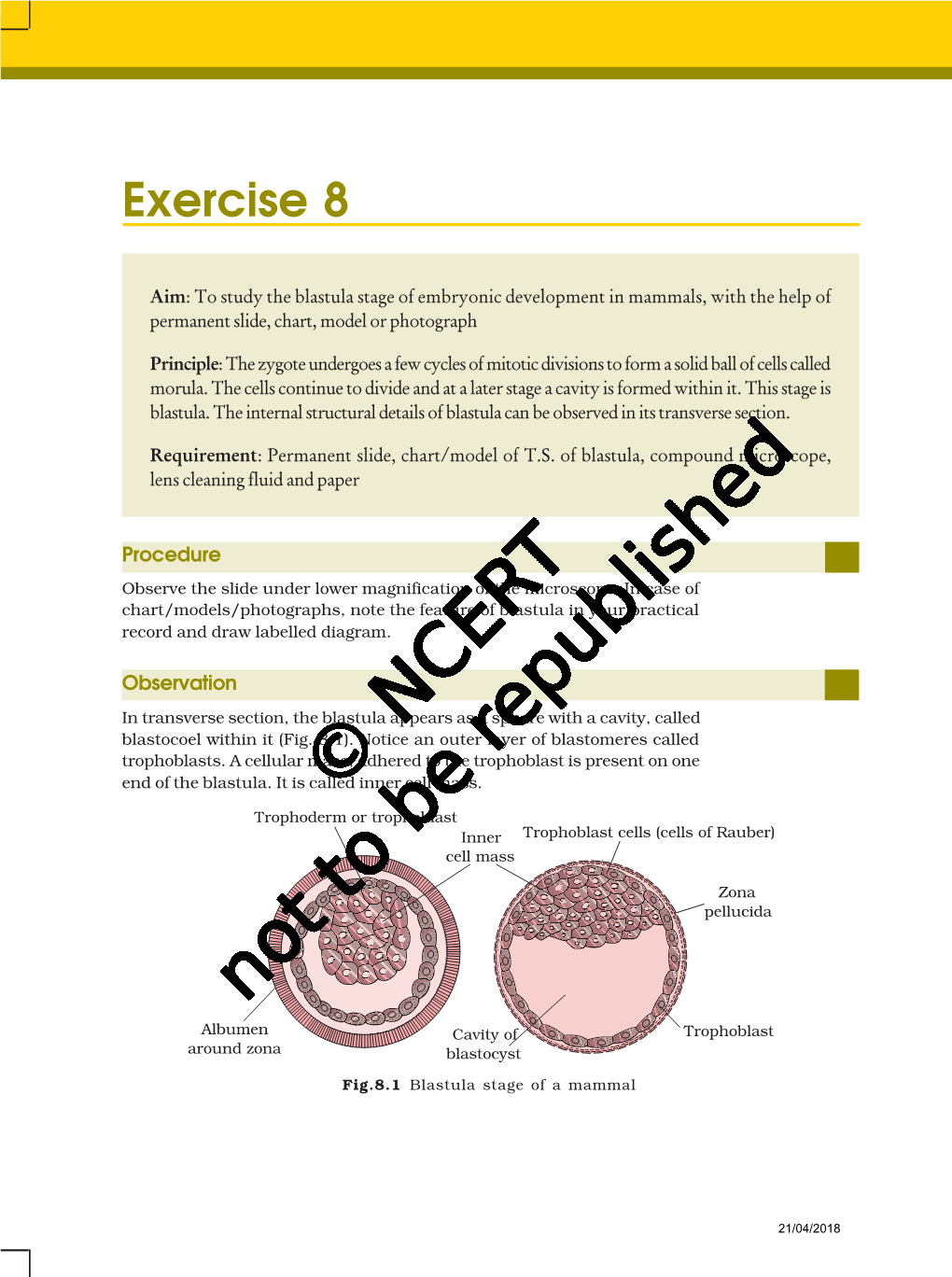 Exercise 8 & 9