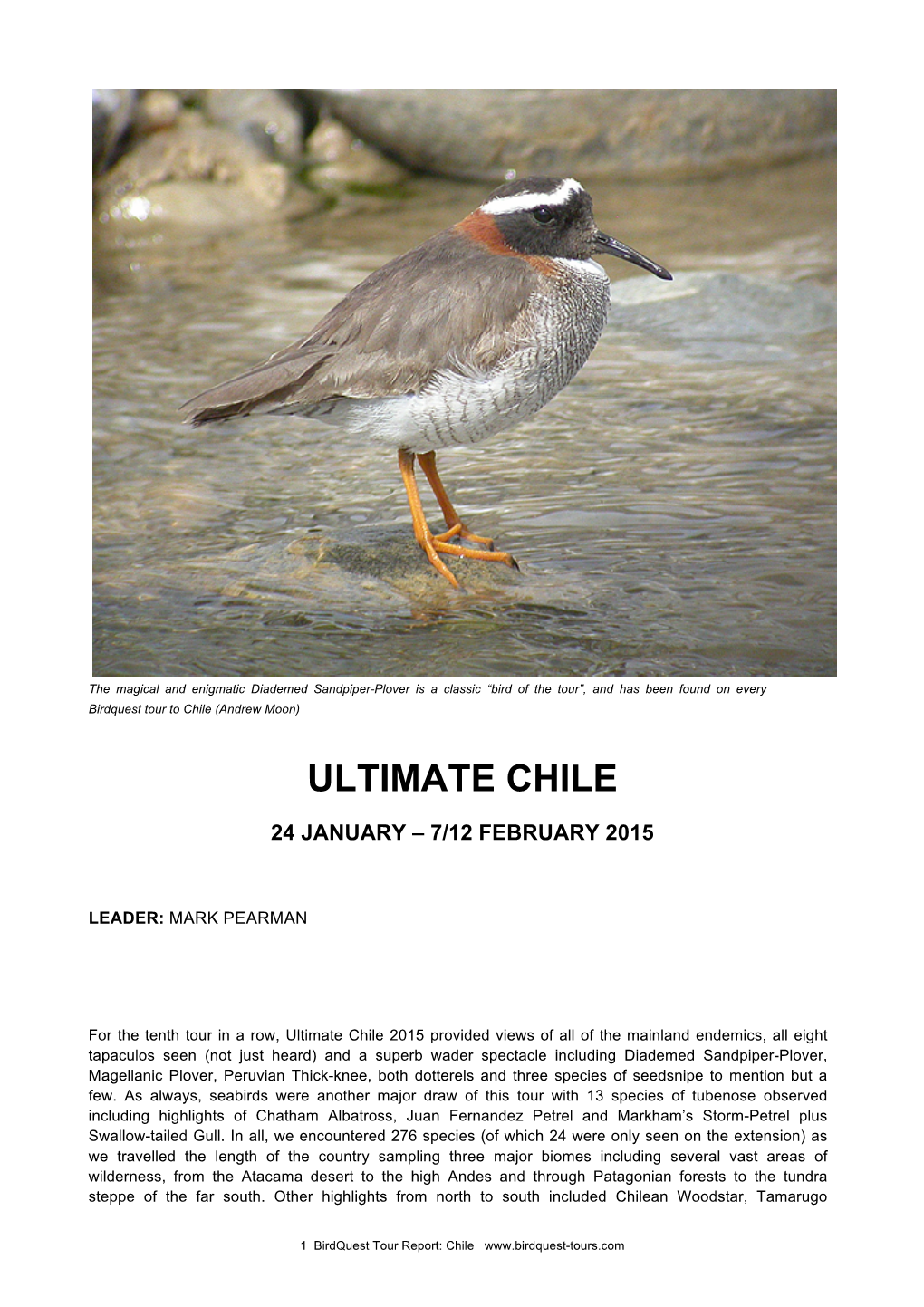 Ultimate Chile