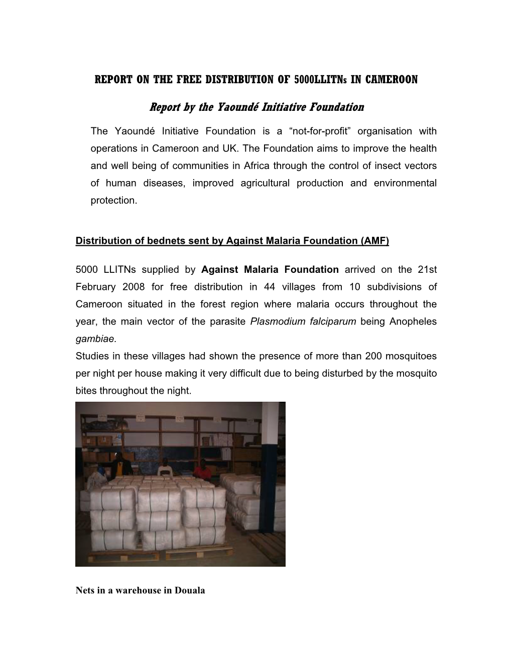 Report by the Yaoundé Initiative Foundation