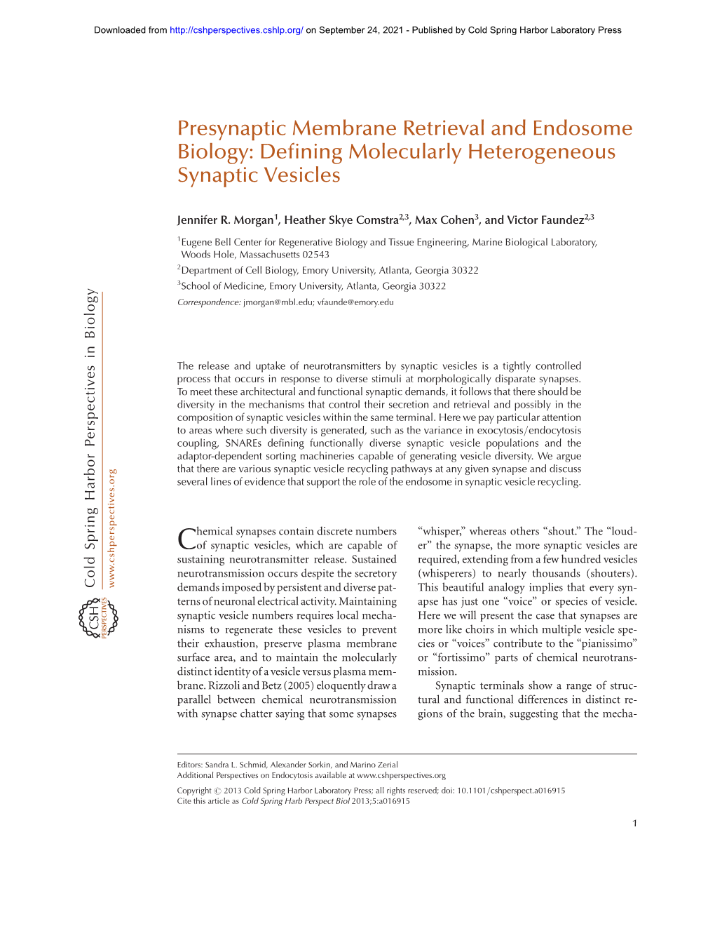 Presynaptic Membrane Retrieval and Endosome Biology: Defining Molecularly Heterogeneous Synaptic Vesicles