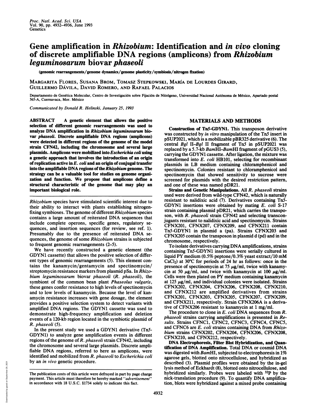 Gene Amplification in Rhizobium