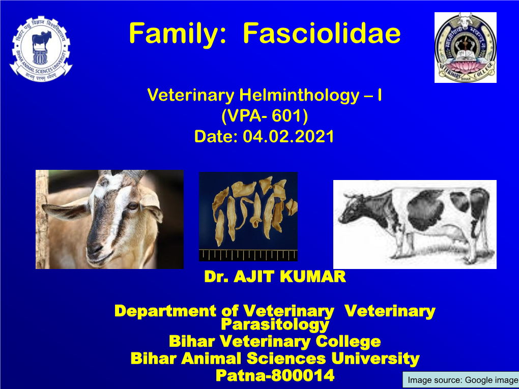 Family: Fasciolidae