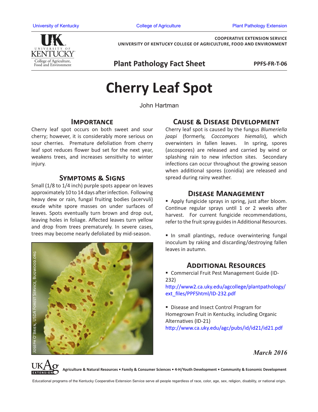 Cherry Leaf Spot John Hartman